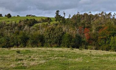 Parcela en venta en MAULLÍN