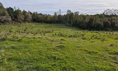 Parcela en venta en MAULLÍN