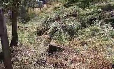 Parcela en Venta en Salida de Villarrica antes de llegar a Aeródromo