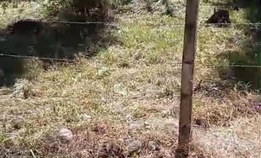 Parcela en Venta en Salida de Villarrica antes de llegar a Aeródromo