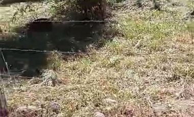 Parcela en Venta en Salida de Villarrica antes de llegar a Aeródromo