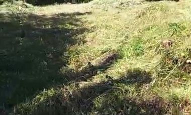 Parcela en Venta en Salida de Villarrica antes de llegar a Aeródromo