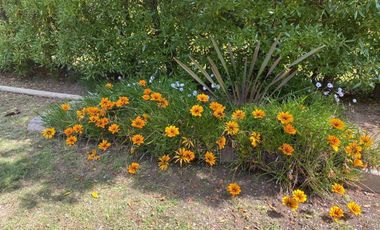 Casa en Venta en Pichidangui