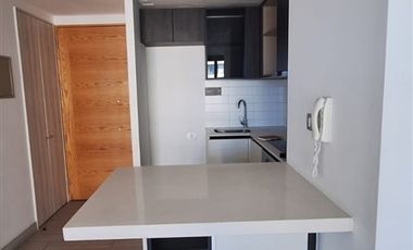 Departamento en Arriendo en Plaza Egaña