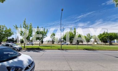 ALQUILER LOCAL COMERCIAL CIPOLLETTI