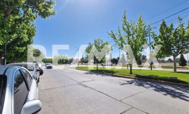 ALQUILER LOCAL COMERCIAL CIPOLLETTI