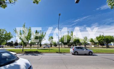 ALQUILER LOCAL COMERCIAL CIPOLLETTI