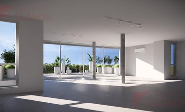 Oficina - Centro De Lujan