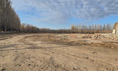 Alquiler Predio 1Ha sobre Ruta 22 - Allen - Frente a la Estacion de Servicio Axion