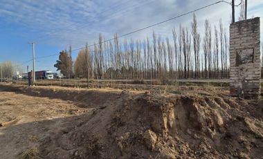Alquiler Predio 1Ha sobre Ruta 22 - Allen - Frente a la Estacion de Servicio Axion
