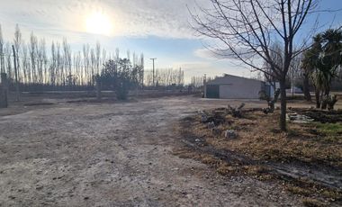Alquiler Predio 1Ha sobre Ruta 22 - Allen - Frente a la Estacion de Servicio Axion