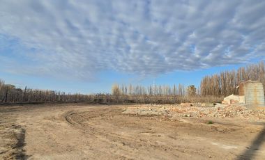 Alquiler Predio 1Ha sobre Ruta 22 - Allen - Frente a la Estacion de Servicio Axion