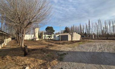 Alquiler Predio 1Ha sobre Ruta 22 - Allen - Frente a la Estacion de Servicio Axion