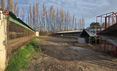 Alquiler Predio 1Ha sobre Ruta 22 - Allen - Frente a la Estacion de Servicio Axion