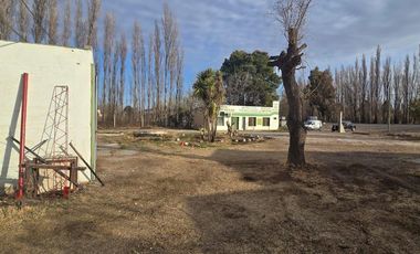 Alquiler Predio 1Ha sobre Ruta 22 - Allen - Frente a la Estacion de Servicio Axion