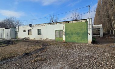 Alquiler Predio 1Ha sobre Ruta 22 - Allen - Frente a la Estacion de Servicio Axion