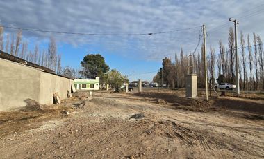 Alquiler Predio 1Ha sobre Ruta 22 - Allen - Frente a la Estacion de Servicio Axion