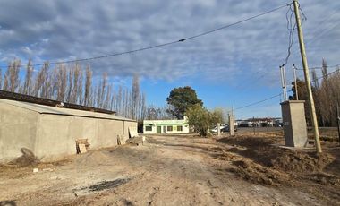 Alquiler Predio 1Ha sobre Ruta 22 - Allen - Frente a la Estacion de Servicio Axion