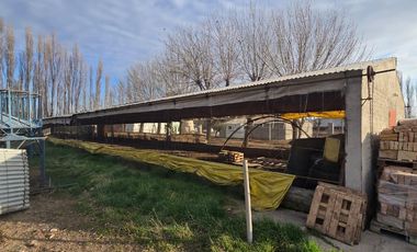 Alquiler Predio 1Ha sobre Ruta 22 - Allen - Frente a la Estacion de Servicio Axion