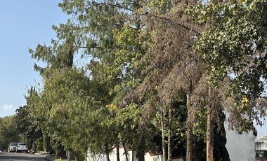 Casa en Venta para actualizar Bosque de Los Sauces Bosques de las Lomas