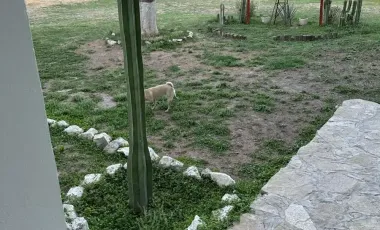 HERMOSA QUINTA EN VENTA