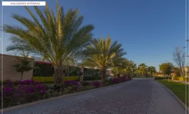 TERRENOS EN VENTA EN LA GRAN VINÍCOLA