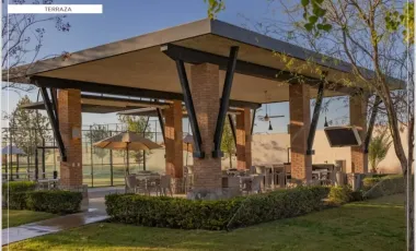 TERRENOS EN VENTA EN LA GRAN VINÍCOLA