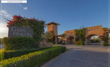 TERRENOS EN VENTA EN LA GRAN VINÍCOLA