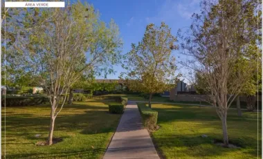 TERRENOS EN VENTA EN LA GRAN VINÍCOLA