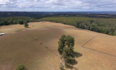 Parcela en venta  en FRUTILLAR