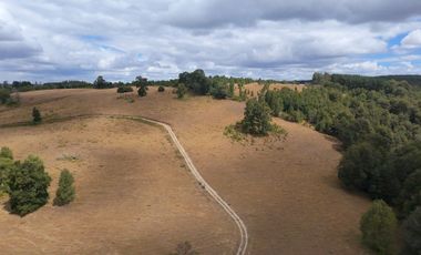 Parcela en venta  en FRUTILLAR