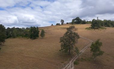 Parcela en venta  en FRUTILLAR