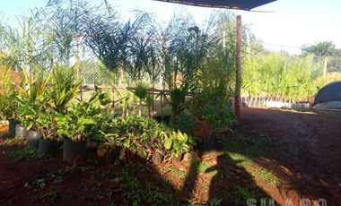 Hermoso terreno en esquina con casa a Terminar en Capiovy Misiones