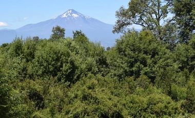 Parcela en venta en VILLARRICA