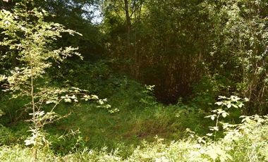 Parcela en venta en VILLARRICA