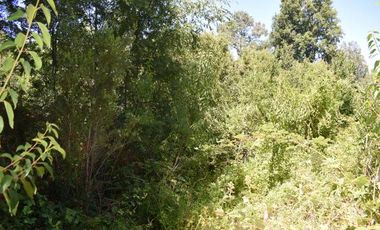 Parcela en venta en VILLARRICA
