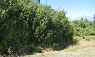 Parcela en venta en VILLARRICA