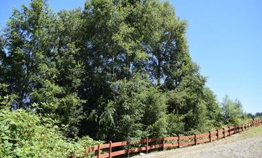 Parcela en venta en VILLARRICA
