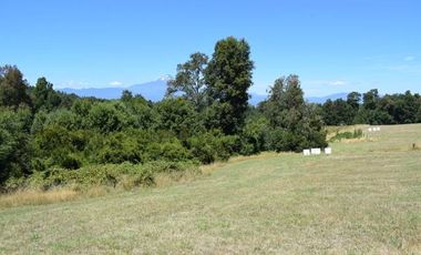 Parcela en venta en VILLARRICA