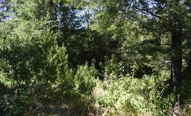 Parcela en venta en VILLARRICA