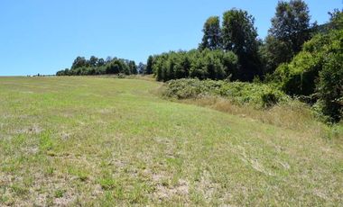 Parcela en venta en VILLARRICA