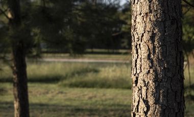 Casa en Venta, City Bell. Barrio Cerrado