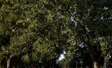 Casa en Venta, City Bell. Barrio Cerrado