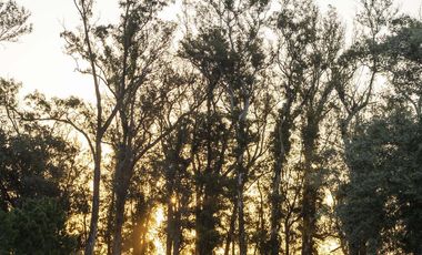 Casa en Venta, City Bell. Barrio Cerrado