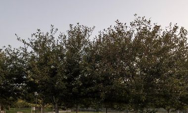 Casa en Venta, City Bell. Barrio Cerrado