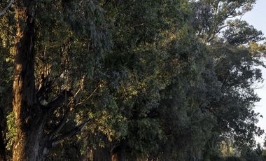 Casa en Venta, City Bell. Barrio Cerrado