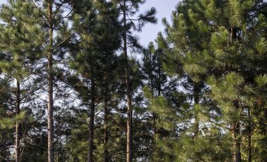 Casa en Venta, City Bell. Barrio Cerrado