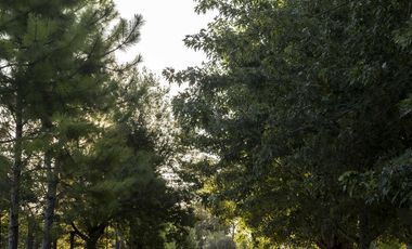 Casa en Venta, City Bell. Barrio Cerrado