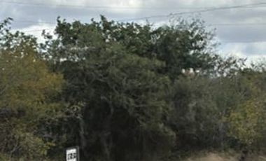 Terreno en RENTA en Periférico Lic. Manuel Berzunza,Mérida Yucatán