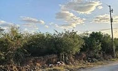 Terreno en RENTA en Periférico Lic. Manuel Berzunza,Mérida Yucatán